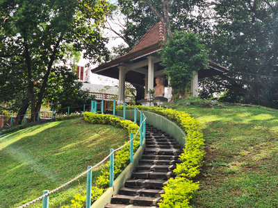 Buddha Statue