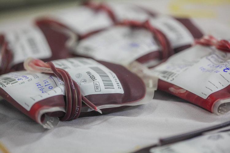 Blood Donation-0